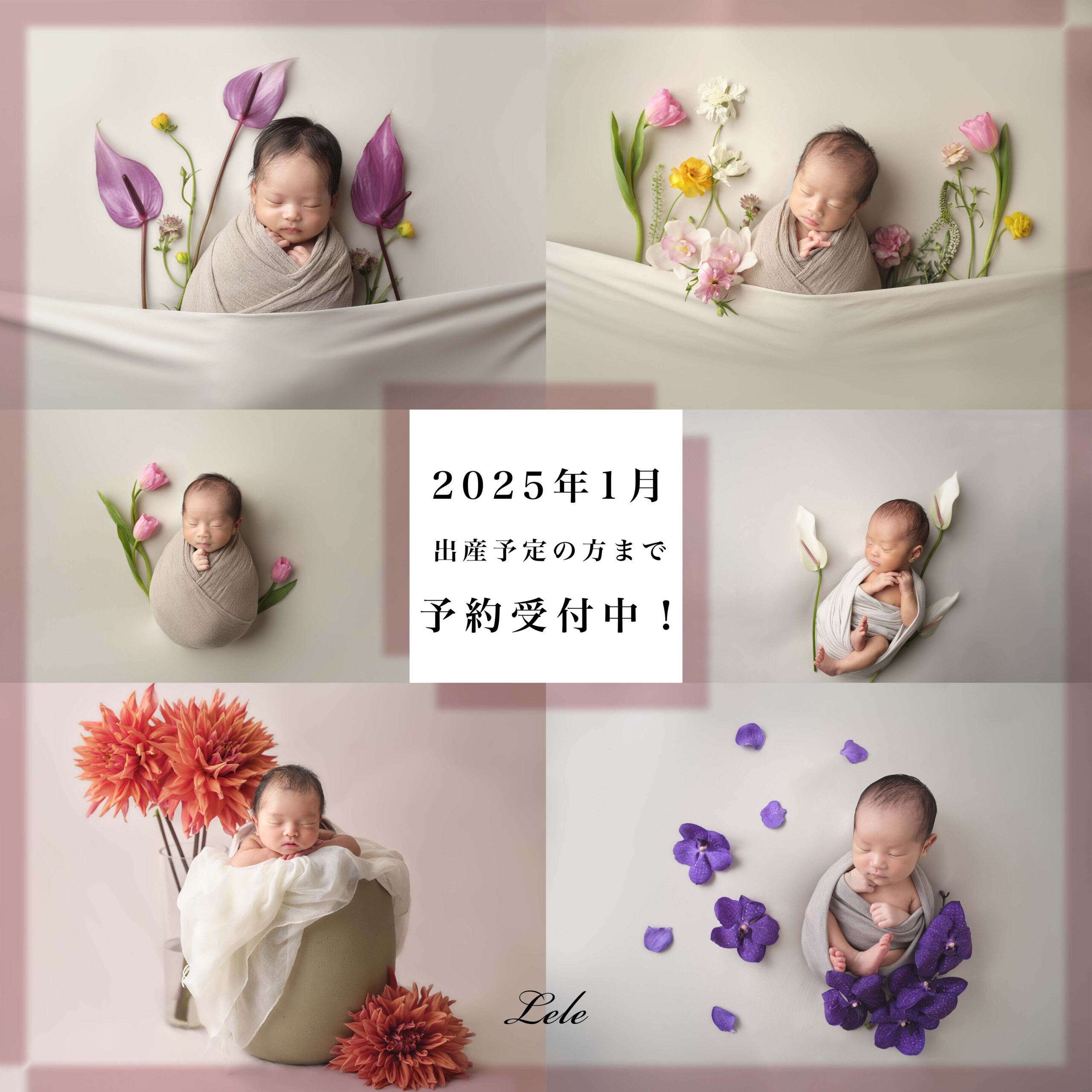 2023年12月ご出産の方までご予約受付開始いたします！ Lele公式LINEまたはメールやホームページのContact Usからお問い合わせください。